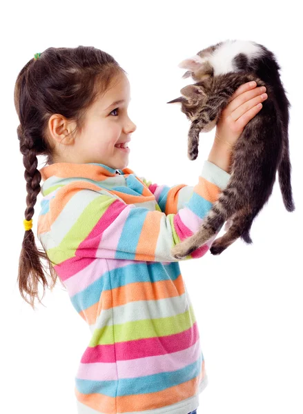 Happy girl lifted up two kitten — Stock Photo, Image