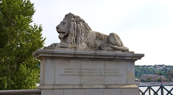 Lion de pont de chaîne — Photo