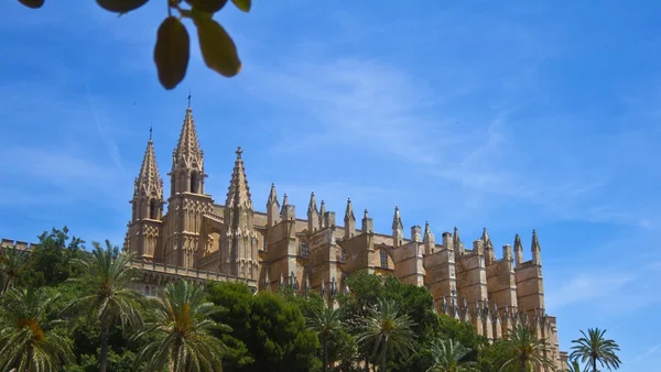 Mallorca katedrali — Stok fotoğraf