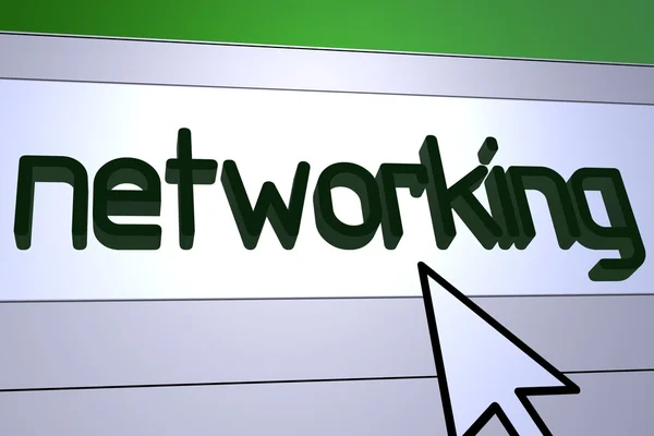 stock image Networking