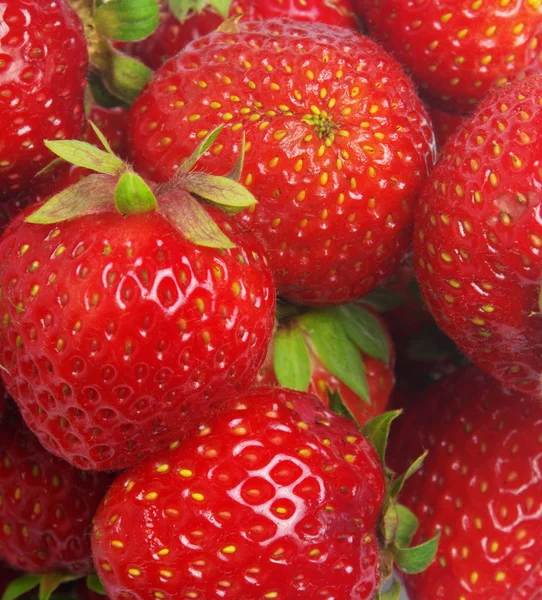 Strawberry closeup — Stock Photo, Image