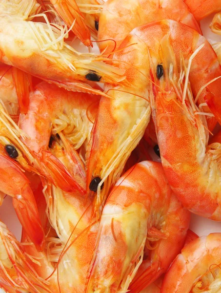 stock image Prawns background