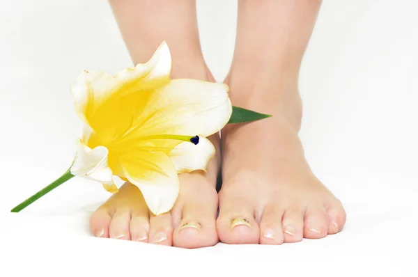 Bacaklar ile çiçek — Stok fotoğraf