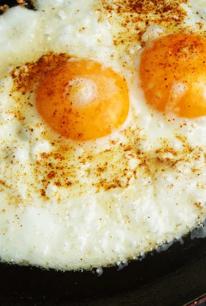 stock image Fried egg