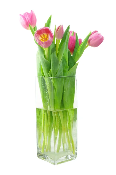 Розовые тюльпаны в вазе — стоковое фото