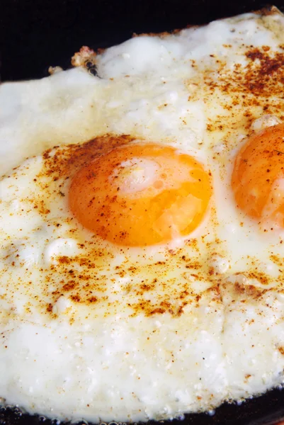 stock image Fried egg