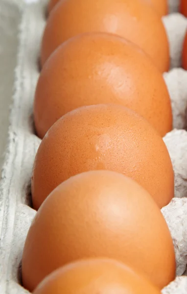 Eier in Großaufnahme — Stockfoto