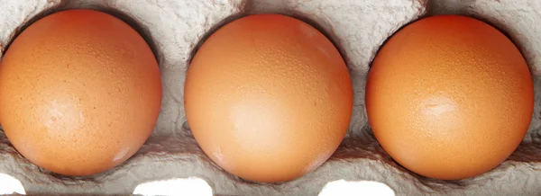 Eier in Großaufnahme — Stockfoto