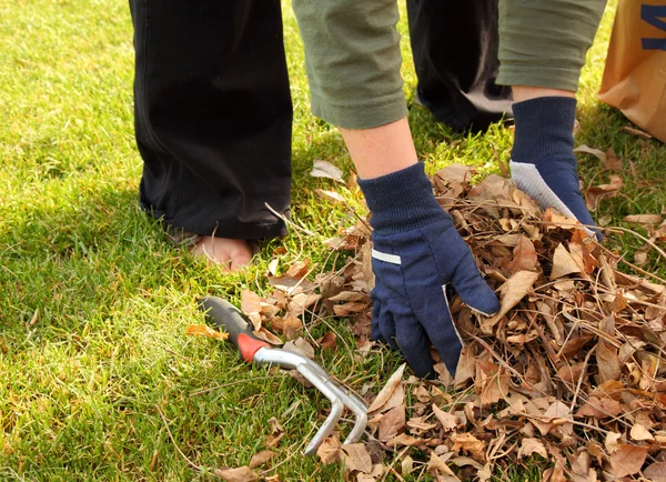 Städa upp bladen i gården — Stockfoto