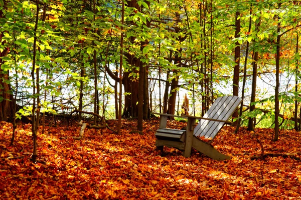 Houten muskoka stoel in de herfst — Stockfoto