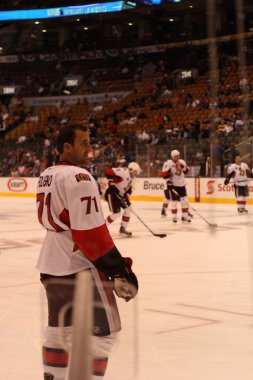 Mike foligno nhl oyuncu