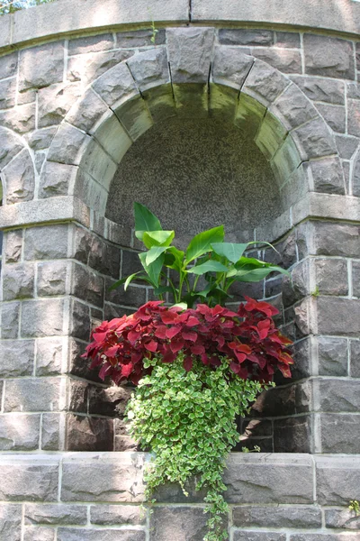岩墙在花园与花卉显示利基 — Stock fotografie