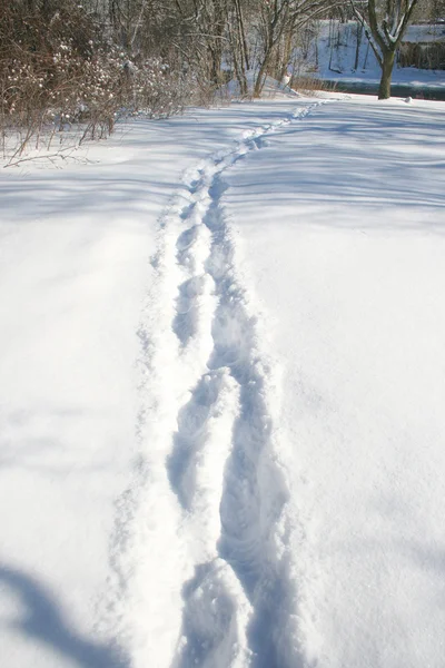 Snowy footpath — Stock Photo, Image