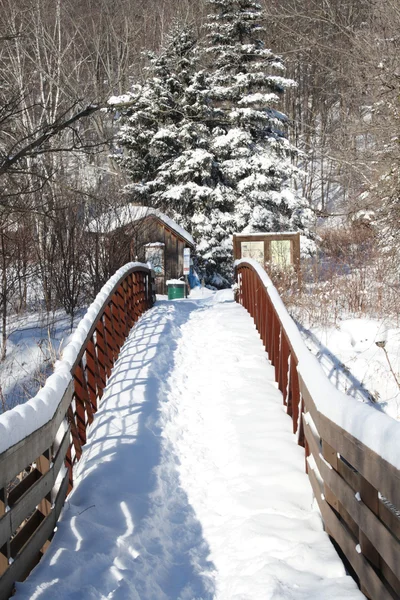 stock image Footsteps across snowy bridge