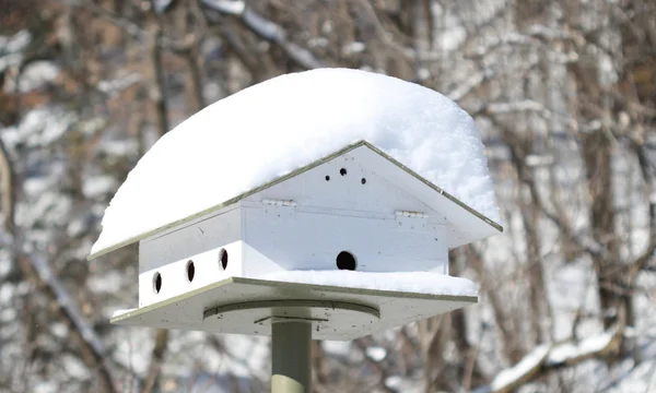 stock image Snow covered birdhouse