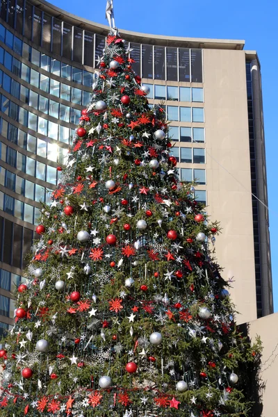 Vánoční strom na radnici toronto — Stock fotografie