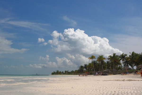 Plaża tropikalny krajobraz krajobrazy — Zdjęcie stockowe