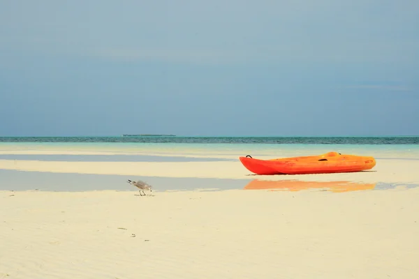 Kayak on beach by ocean — Stock Photo, Image