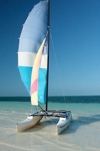 Sailboat catamaran on beach — Stock Photo, Image
