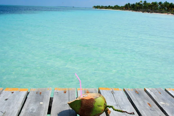 Kokos nápoj s výhledem na tropickou pláž — Stock fotografie