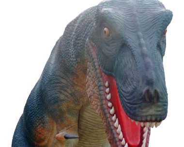 Tyrannosaurus rex dinosaur gösteren dişler