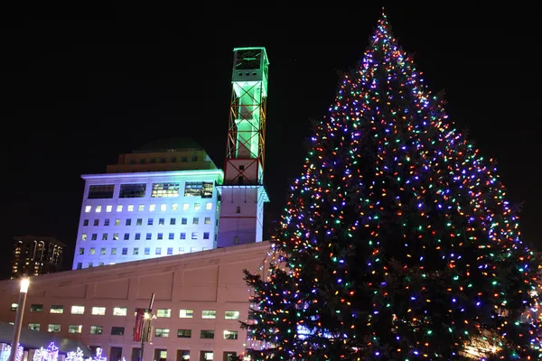 Luces del ayuntamiento de Mississauga durante la Navidad de invierno — Foto de Stock