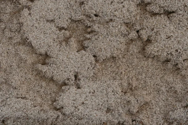 stock image Close up of gray brick for background