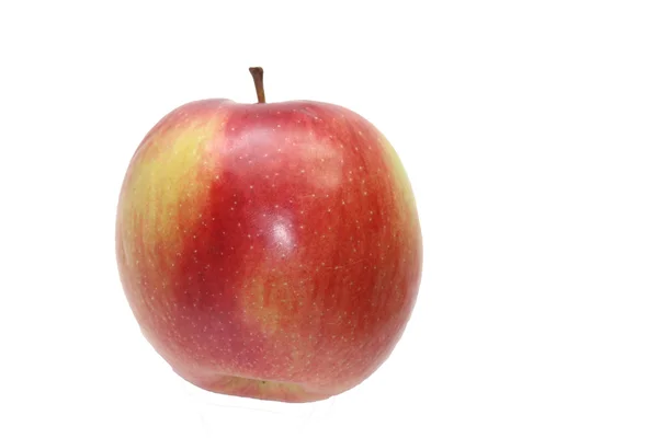 stock image Macintosh apple close up