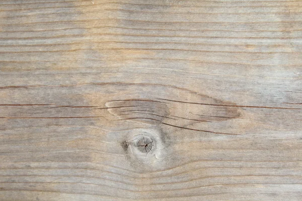 Holzmaserung hautnah — Stockfoto