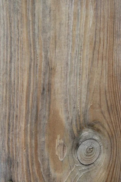 stock image Wood grain