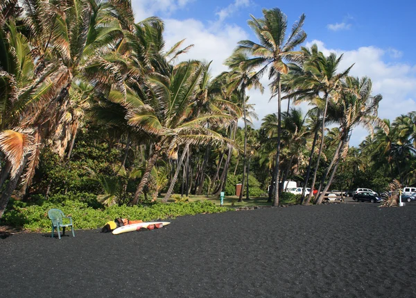 有名な黒い火山砂 hawaiis ハプナ ビーチ ストックフォト