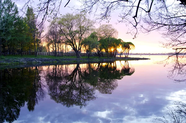 Paisaje lago de primavera con árbol — Foto de Stock