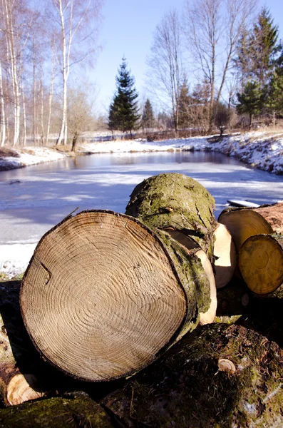 Kış gruptaki yakacak odun — Stok fotoğraf