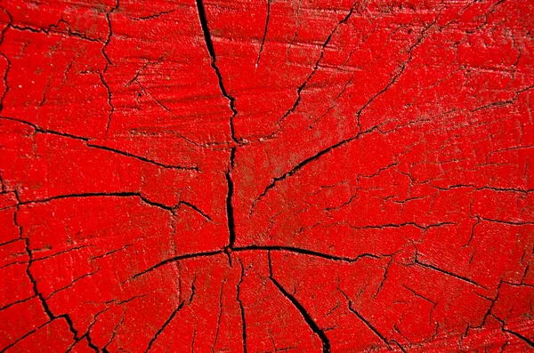 Arbre rouge peint fond tronc — Photo