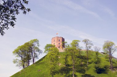 Vilnius geçmiş kalp - şafak Kulesi