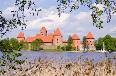 Lithuanian history heart - Trakai castle clipart