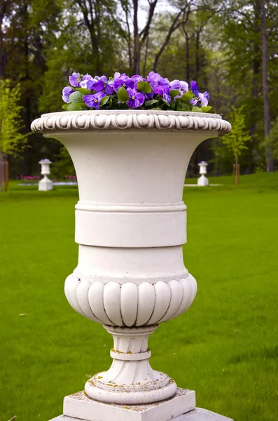 古いマナー パーク花瓶の花 — ストック写真