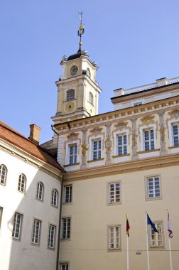 Vilnius Üniversitesi Kulesi Litvanya