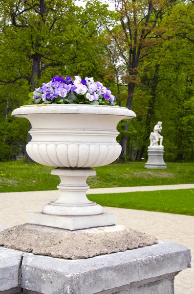 Venkovní váza s květinami — Stock fotografie