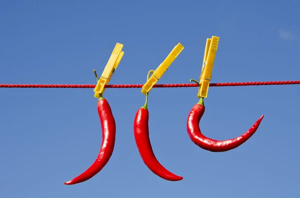 Drie rode pepers op kleding lijn — Stockfoto