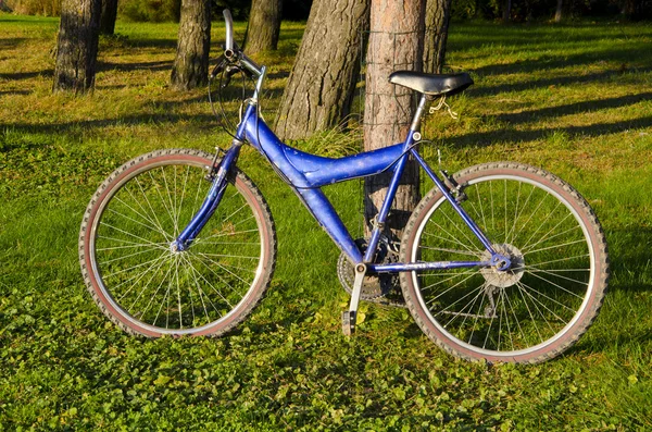 Bicicleta na floresta — Fotografia de Stock
