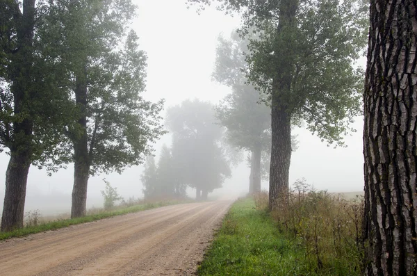 Estrada de cascalho do campo e neblina — Fotografia de Stock