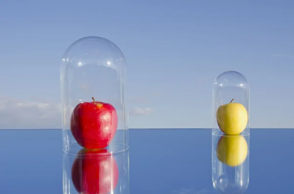 Dwa jabłka na lustro i niebo — Zdjęcie stockowe