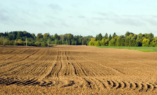 Осеннее поле для обработки почвы — стоковое фото