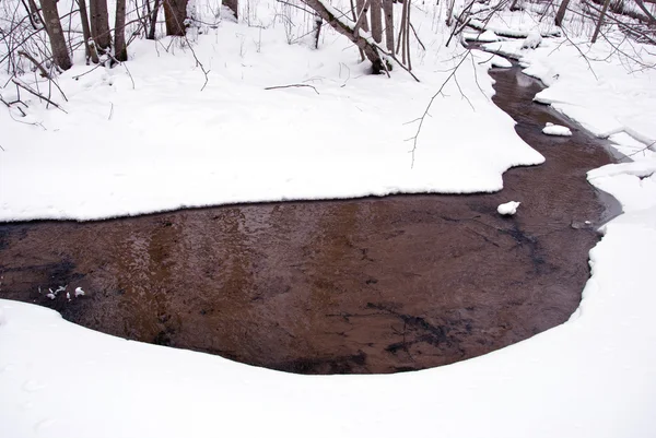 Landschap met winter stream — Stockfoto