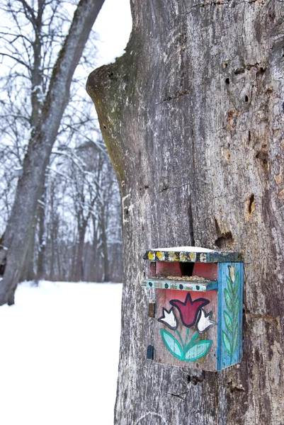 Winter vogelzaad op de geschilderde nesten-box — Stockfoto