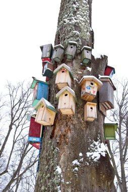 Winter tree with birds nesting-boxes collection clipart