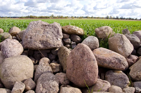 Аграрный ландшафт с камнями — стоковое фото