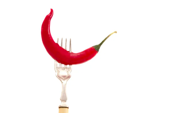 Isoliert eine rote Paprika auf der Gabel — Stockfoto