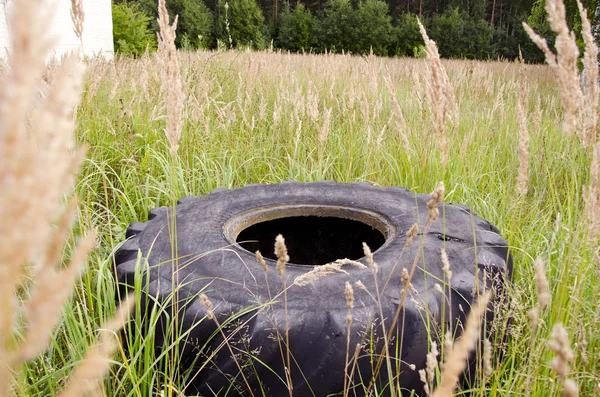 Staré pneumatiky v trávě — Stock fotografie